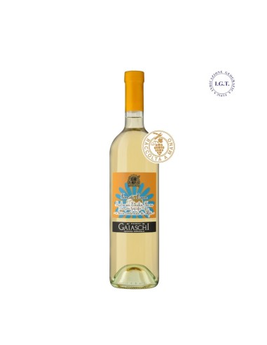 Malvasia Fermo - Fior di Luca (a basso contenuto di solfiti)